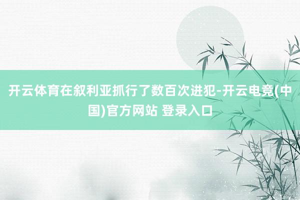 开云体育在叙利亚抓行了数百次进犯-开云电竞(中国)官方网站 登录入口