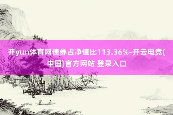 开yun体育网债券占净值比113.36%-开云电竞(中国)官方网站 登录入口