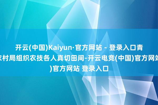 开云(中国)Kaiyun·官方网站 - 登录入口青岛市农业农村局组织农技各人真切田间-开云电竞(中国)官方网站 登录入口