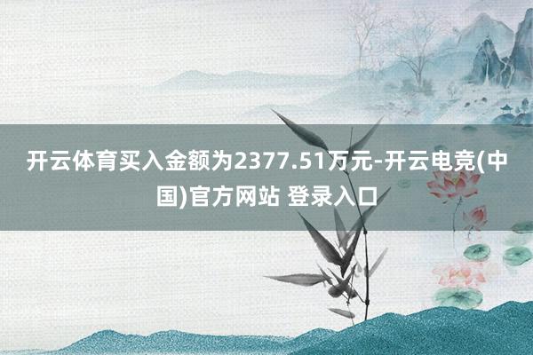 开云体育买入金额为2377.51万元-开云电竞(中国)官方网站 登录入口