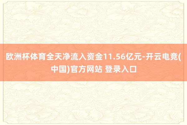 欧洲杯体育全天净流入资金11.56亿元-开云电竞(中国)官方网站 登录入口