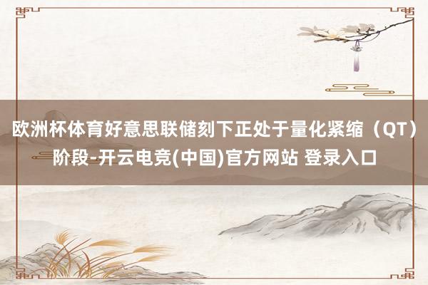 欧洲杯体育好意思联储刻下正处于量化紧缩（QT）阶段-开云电竞(中国)官方网站 登录入口