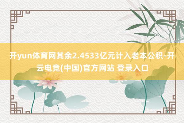 开yun体育网其余2.4533亿元计入老本公积-开云电竞(中国)官方网站 登录入口